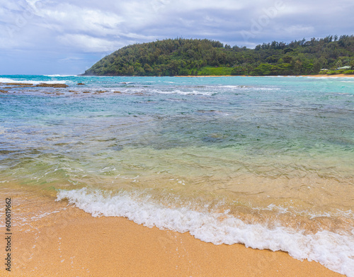 Fototapeta Naklejka Na Ścianę i Meble -  Waves Washing on Moloa'a Beach From Moloa'a Bay Kauai, Hawaii, USA