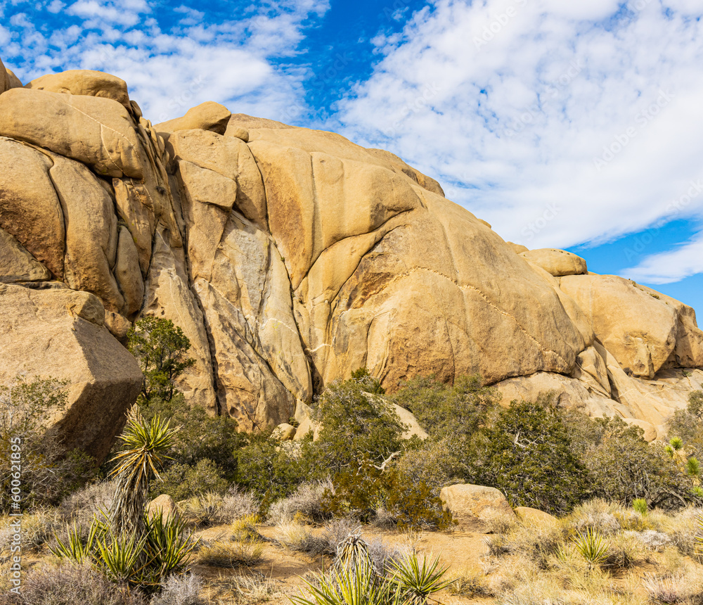 Granite Rock Formations on The Split Rock Loop Trail, Joshua Tree National Park, California, USA Granite Rock Formations on The Split Rock Loop Trail, Joshua Tree National Park, California, USA