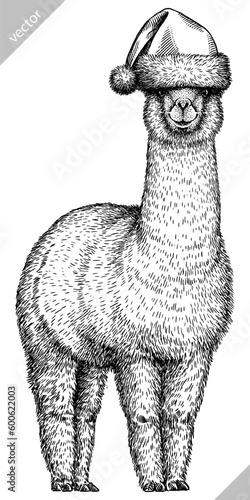 Vintage engraving isolated lama set dressed christmas illustration ink santa costume sketch. Alpaca background America animal silhouette new year hat art. Black and white hand drawn vector image.