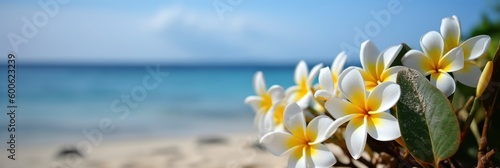 Plumeria (Frangipani) on tropical sea and beach blue sky background, Summer festive time. Generative AI