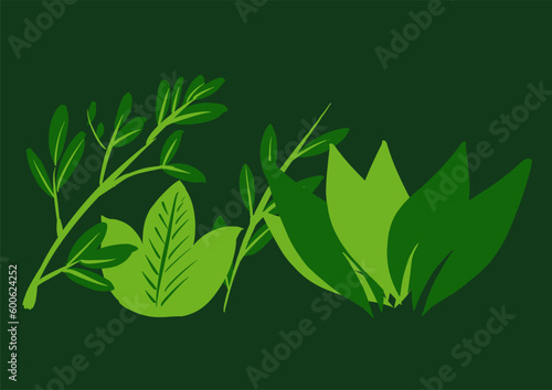features a variety of green leaves, seem to come from different species, green leaves vector