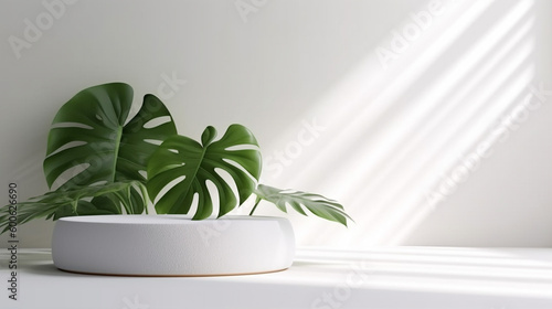 Smooth round white podium in sunlight, tropical palm leaf shadow for on white table countertop