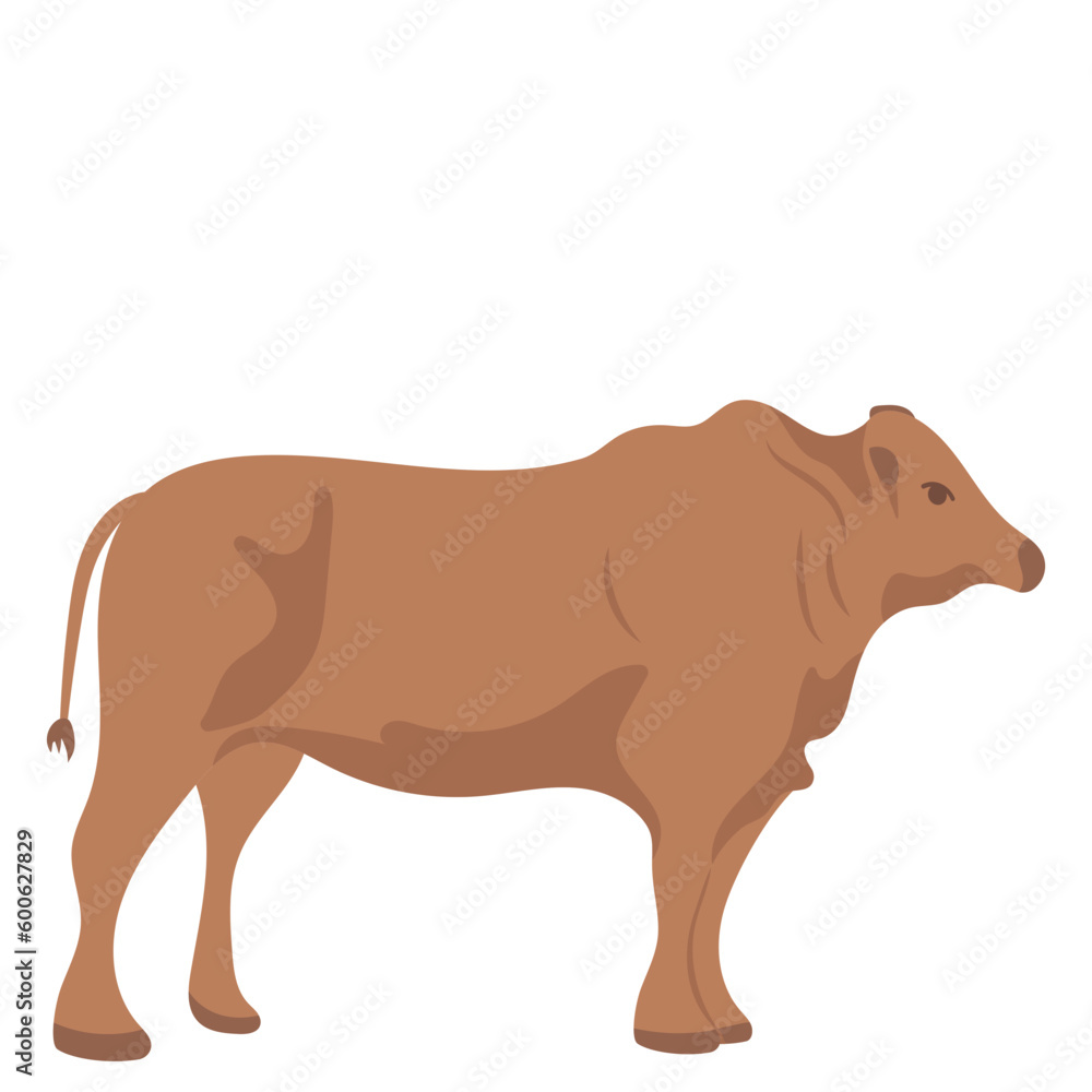 Eid Al Adha Animal Illustration Cow 01