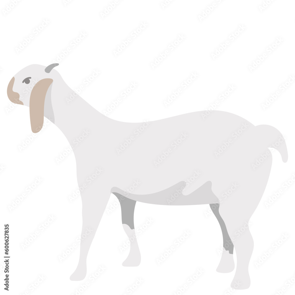 Eid Al Adha Animal Illustration Sheep 02