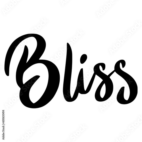 Bliss Lettering. Word Ideas Lettering Stickers