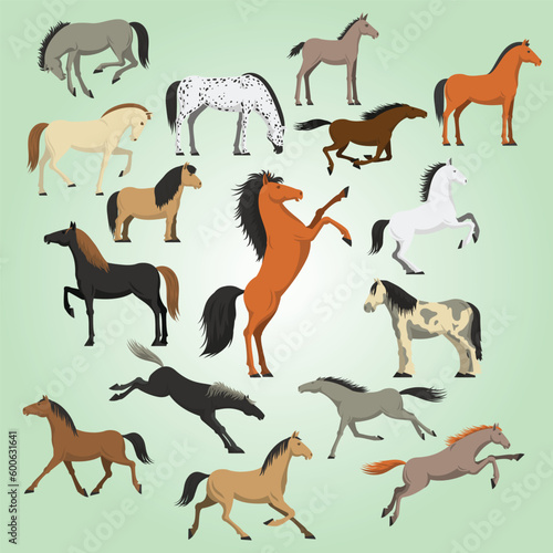 best horse breeds pictures icons set
