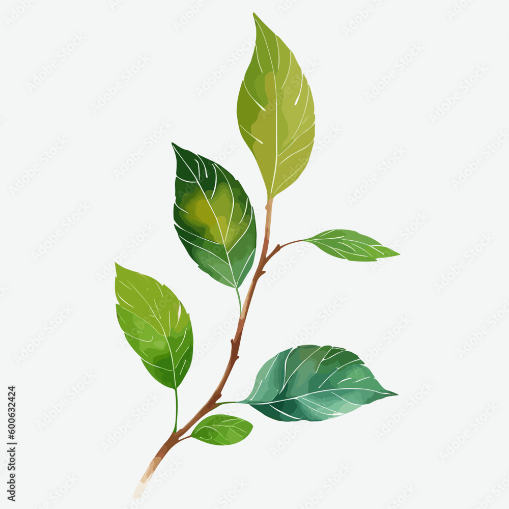 Naklejka premium green leaves isolated on white background