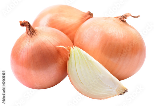 Fresh onion isolated photo