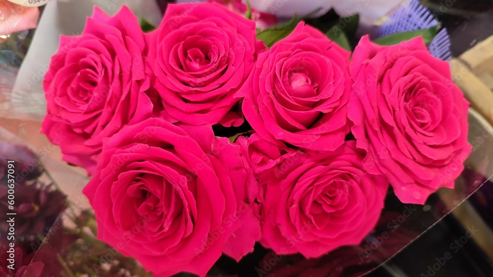 bouquet of roses bouquet of roses