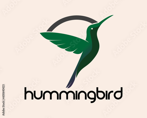flying hummingbird at sun line logo symbol icon design template illustration inspiration