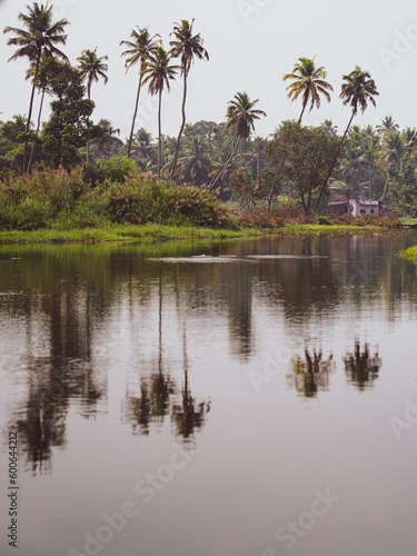 Backwater India Kerala state 