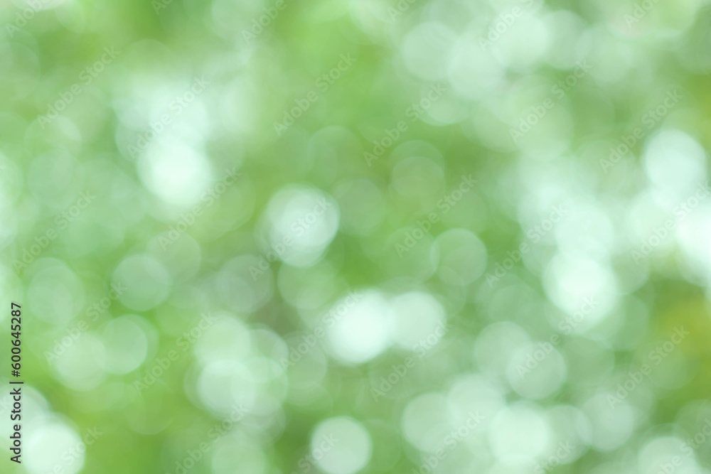 blurred Abstract natural greenery bokeh background in the forest with copy space using as background natural green plants landscape, ecology, fresh wallpaper concept. blurred Abstract natural greenery bokeh background in the forest with copy space using as background natural green plants landscape, ecology, fresh wallpaper concept.