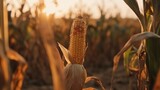  a close up of a corn cob in a field.  generative ai