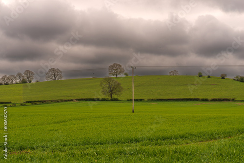 Wallpaper Mural This photograph captures the natural beauty of a typical Irish landscape, with lush green meadows in the spring and clouds floating in the sky Torontodigital.ca