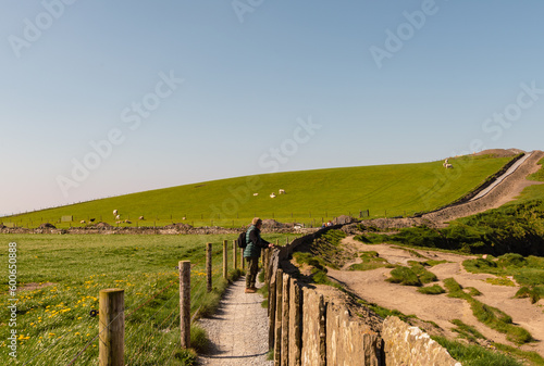 Wallpaper Mural Ireland's Breathtaking Cliff Walk with Rustic Fence Torontodigital.ca