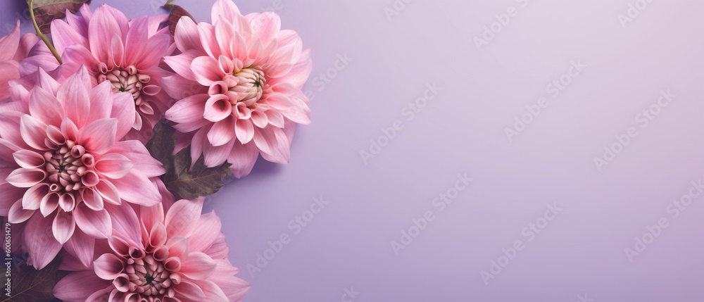 Dahlia Delicacy: Pastel Background with Top View of Dahlias in the Corner - Generative AI Dahlia Delicacy: Pastel Background with Top View of Dahlias in the Corner - Generative AI