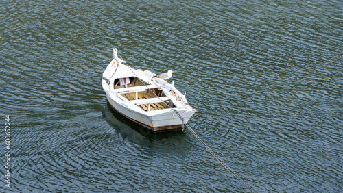 fishing boat and seagull in the sea