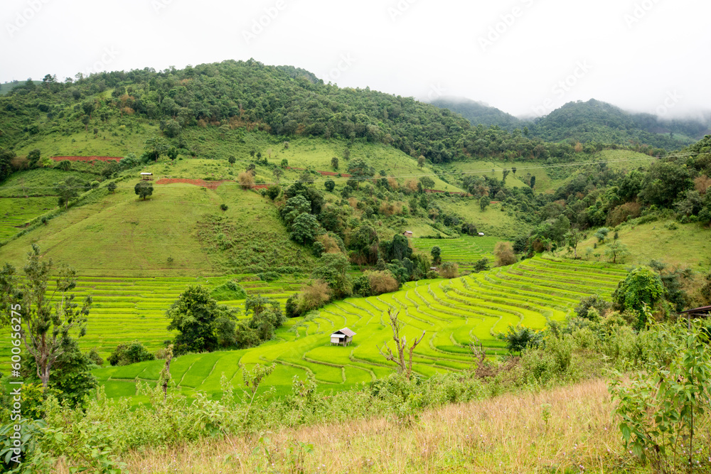 Landscape view of rice terraces and house of Thailand hill tribe. The village is in a valley among the rice terraces in Mae Jam, Chiang Mai, Thailand.