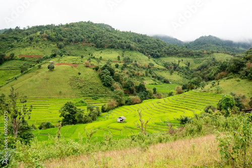 Φωτογραφία Landscape view of rice terraces and house of Thailand hill tribe