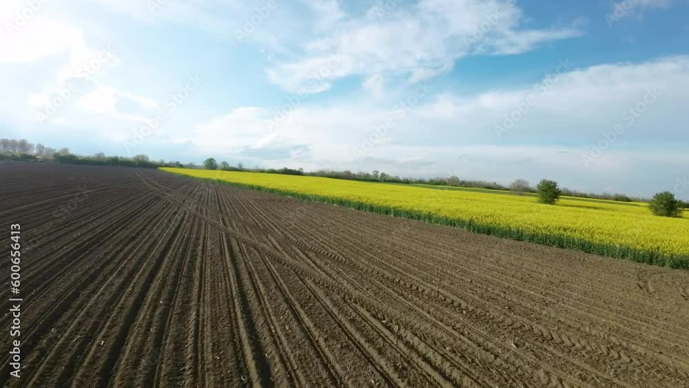 FPV aerial shot of rapeseed flower blooming in farmland. Fpv drone proximity flying over yellow raped flower on the agricultural field. Blooming yellow rape flower. Speed drone shot over plowed land. FPV aerial shot of rapeseed flower blooming in farmland. Fpv drone proximity flying over yellow raped flower on the agricultural field. Blooming yellow rape flower. Speed drone shot over plowed land.