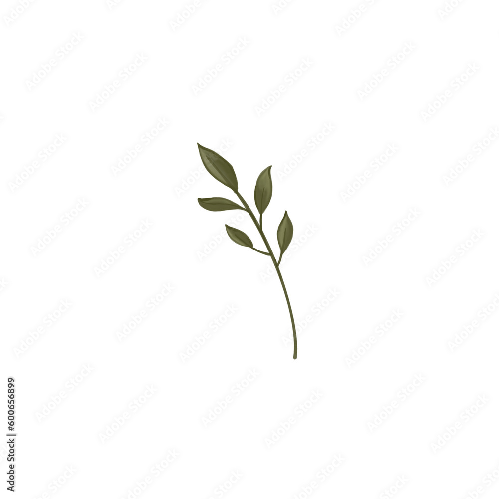 leaf leaf