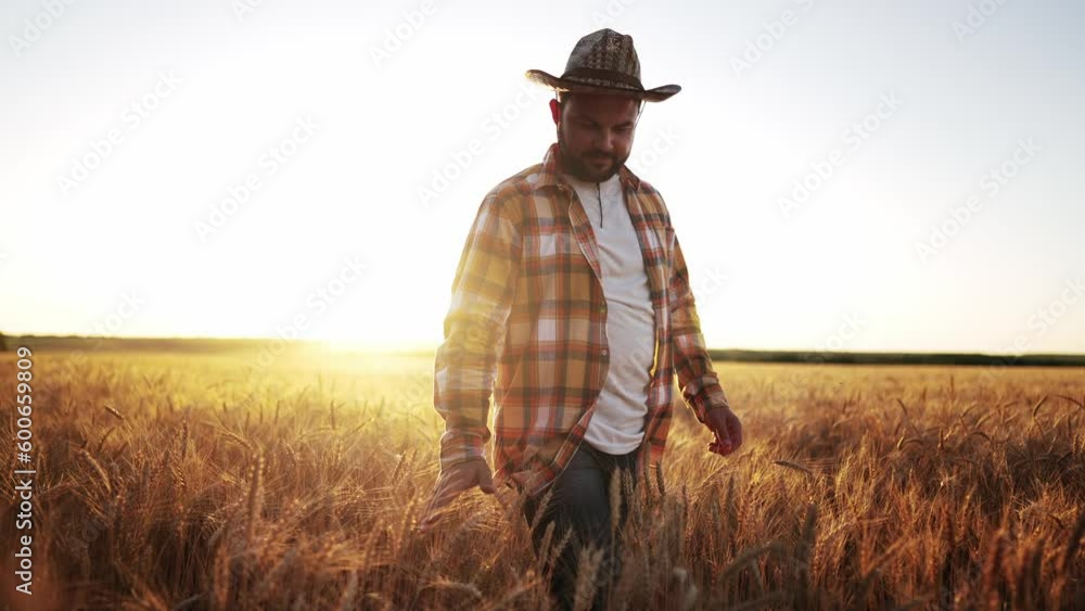 Farmer in straw hat walks along empty asphalt road near wheat field in summer outdoors under sun rays. Inspect agronomic farmland. Harvest time of ripe wheat ears. Agribusiness. Natural healthy eat. Farmer in straw hat walks along empty asphalt road near wheat field in summer outdoors under sun rays. Inspect agronomic farmland. Harvest time of ripe wheat ears. Agribusiness. Natural healthy eat.