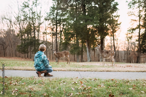 Boy viewing whitetail deer at sunset photo