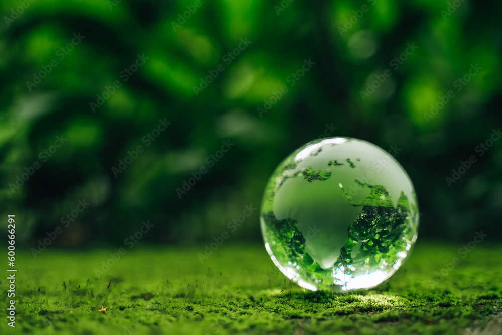 Globeglass in green grass forest with sunlight. Environment, save the earth, earth day and conservation.