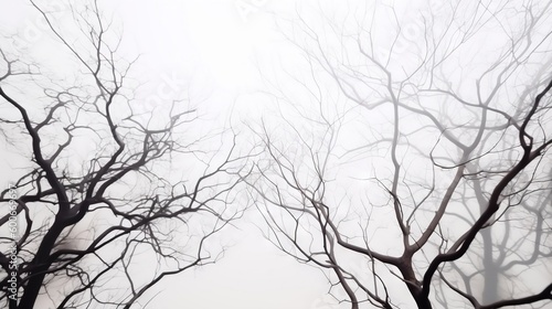  a couple of trees that are standing in the foggy sky. generative ai