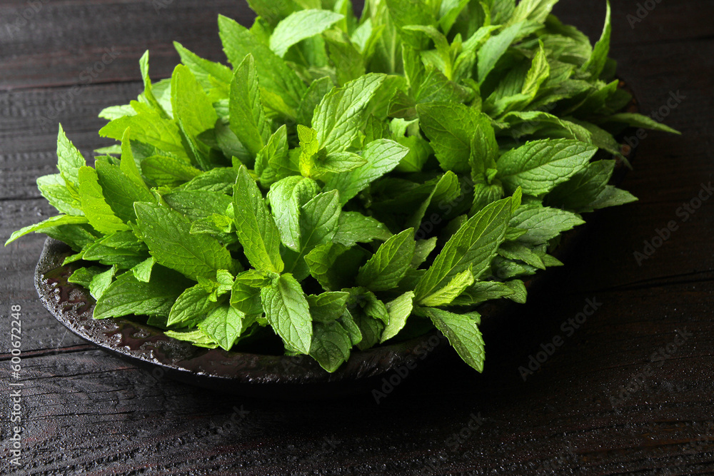 Fresh mint leaves with dew drops neatly stacked in an old, black, wooden plate. Green, fresh, young, mint leaves with dew drops contrast well with the old, black, wooden table. Fresh mint leaves with dew drops neatly stacked in an old, black, wooden plate. Green, fresh, young, mint leaves with dew drops contrast well with the old, black, wooden table.