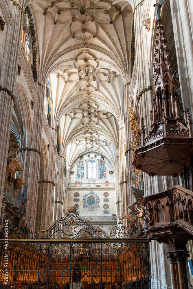 inside view of the Cathedral in Salamanca Spain