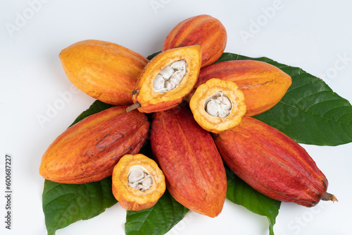 Raw cacao sliced pods