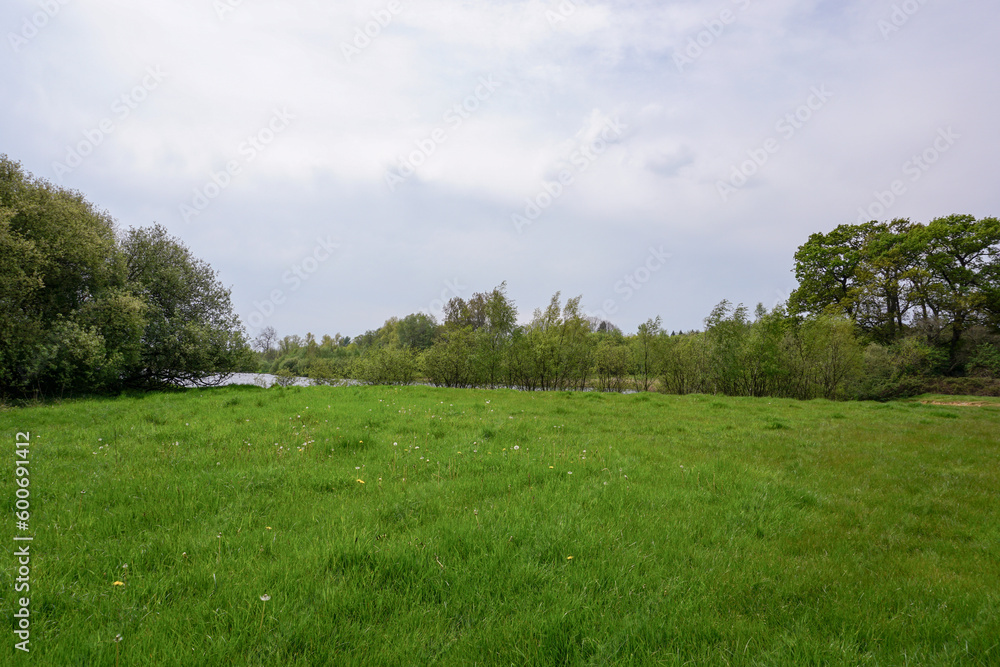 open green parkland in spring. lush grass and trees in peaceful surroundings open green parkland in spring. lush grass and trees in peaceful surroundings