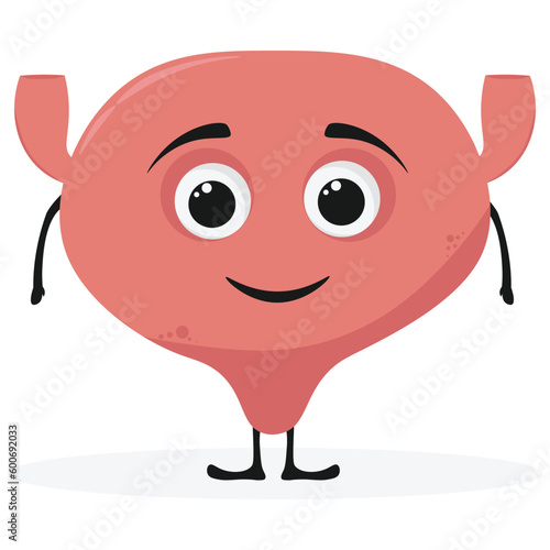 Cartoon bladder human body organ character. Vector healthy urinary system personage with cute smiling face. Happy anatomical organ for urination, medicine and health care for kids