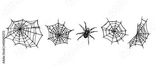 Set of design elements. Spider web and spider isolated objects on white background