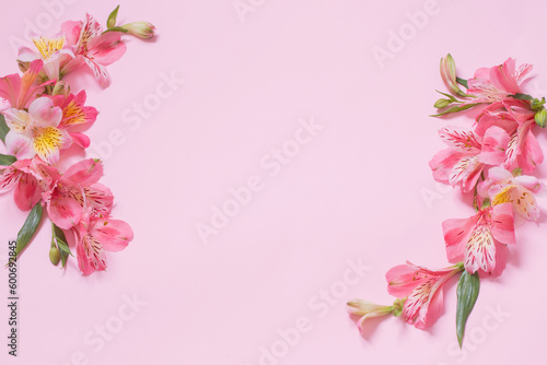 alstroemeria flowers on pink background © Maya Kruchancova