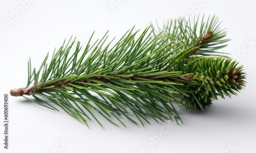 Photo a branch of a pine tree is on a white background, generative AI