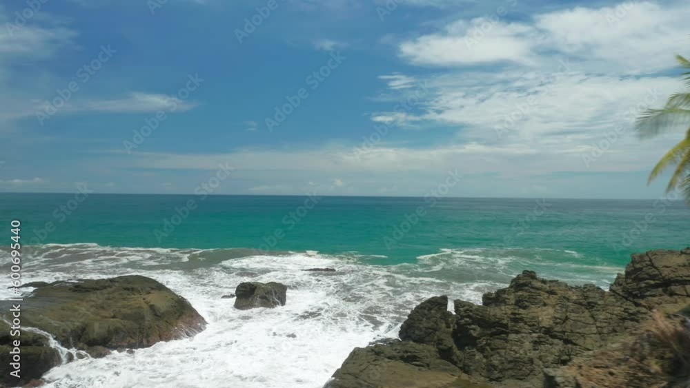 Lone palm tree on rock at wild coastline of Costa Rica, aerial Lone palm tree on rock at wild coastline of Costa Rica, aerial