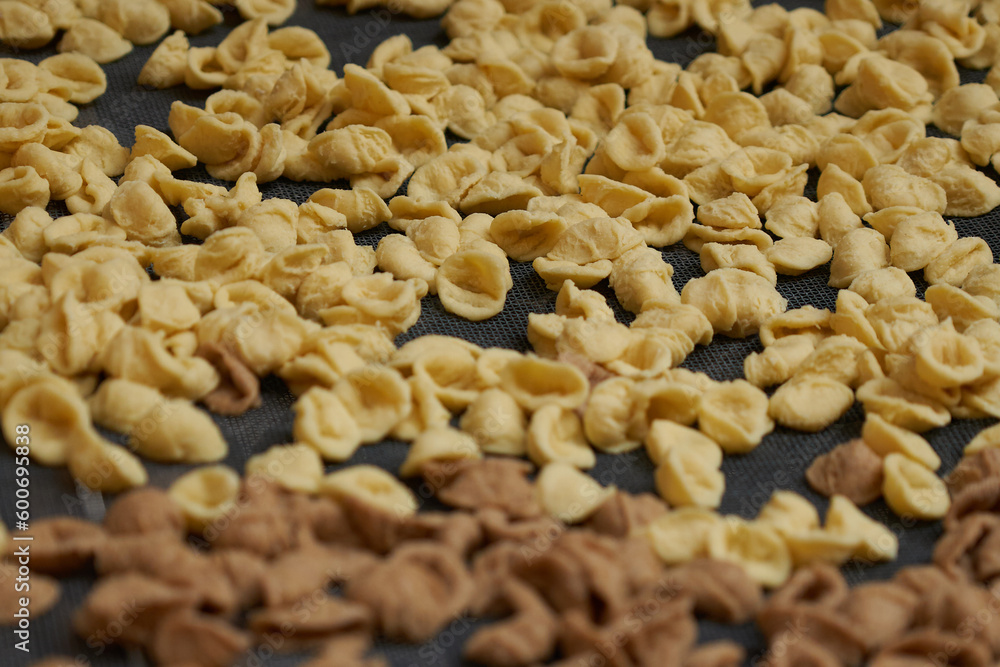 A closeup of orecchiette pasta on a white background