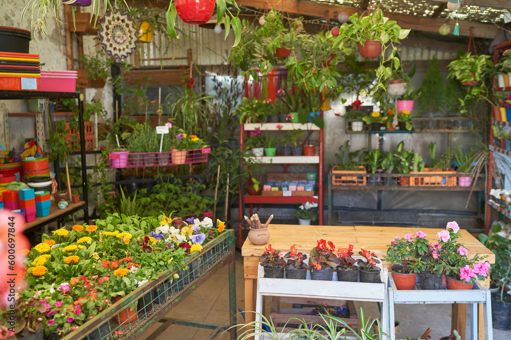 Colorful variety of plants and flowers in flower shop Colorful variety of plants and flowers in flower shop