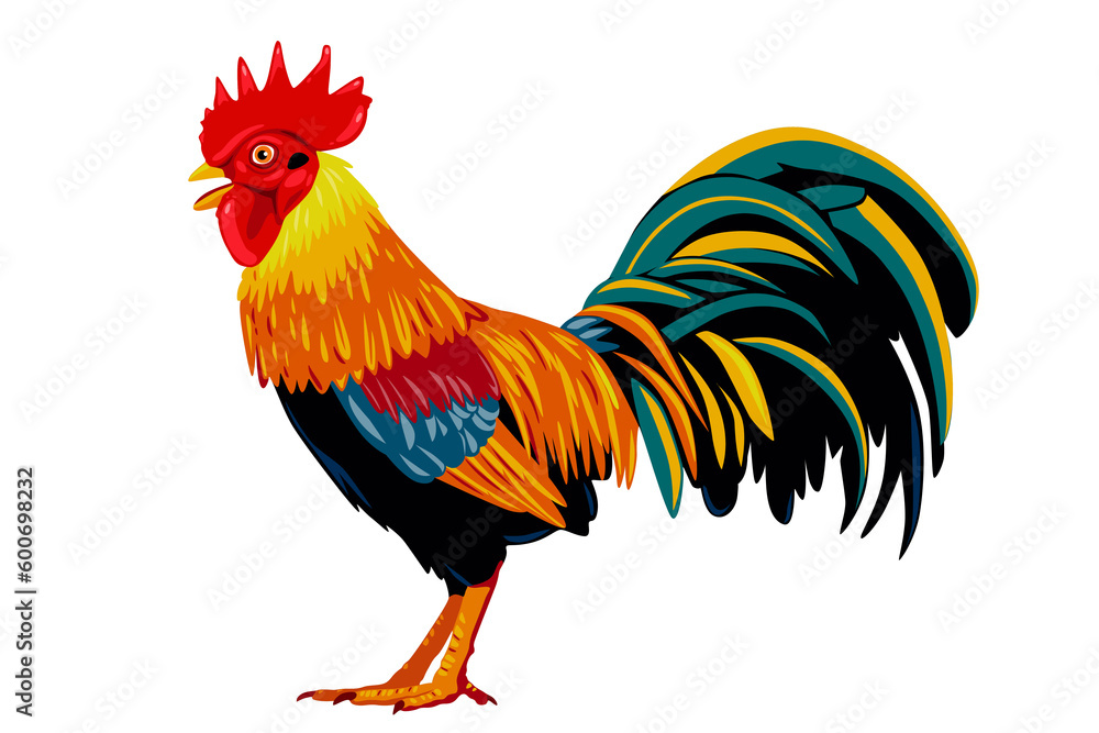 rooster isolated on white background. vector illustration