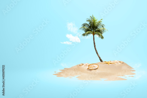 View of sandy beach with shells and palm tree