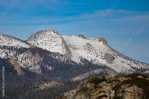 Yosemite National Park Landscape Mountains and Trees