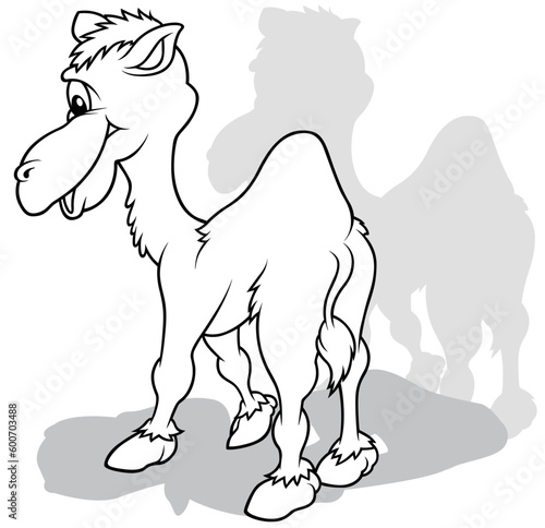 Drawing of a Standing Camel...