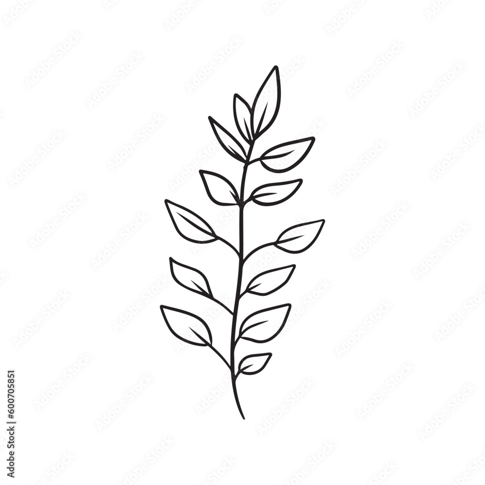 Fototapeta premium Abstract realistic branch with leaves in black isolated on white background. Hand drawn vector sketch illustration in doodle engraved vintage outline line art. Plant yanang thai siamese rosewood.