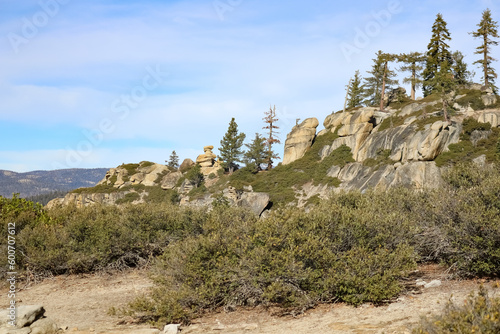 Yosemite National Park Landscape Mountains and Trees