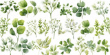Watercolour Seamless Surface Pattern Tile: Bright Fresh Green Delicate individual flowers, Herbs: Floral  Pattern on White Isolated Background: Textiles, Wallpaper & Home Decor. Generative AI.