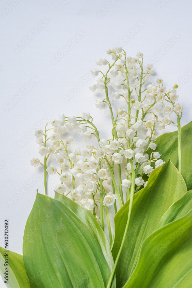 Fototapeta premium lilies of the valley and frames on white