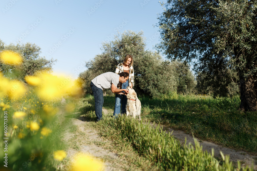 Couple with pet ,golden retriever dog, walking along path across field in countryside