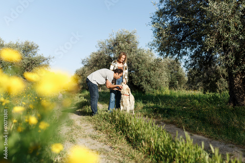 Couple with pet ,golden retriever dog, walking along path across field in countryside © Алина Битта